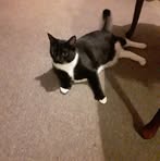 Wanda Lynn Sewell - Facebook