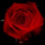 Wanda Sewell - @wanda.sewell.37 - Instagram