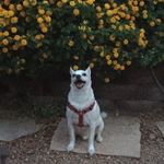 Wanda Sewell - @wanda.sewell.12 - Instagram