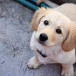 Lawanda K. Shaffer - @lawandak.shaffer - Instagram