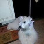 Wanda Shaffer - @shafferwanda - Instagram