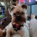 Wanda Shaver - @shaver3916 - Instagram