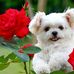 Wanda Sheets - Facebook