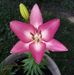 Wanda Sheets - Facebook