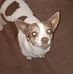 Wanda Sherrill - Facebook