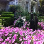 Wanda Shipman - @shipman5177 - Instagram