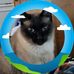 Wendy Childers - Facebook