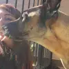 wangskaggs - @wangskaggs - TikTok
