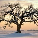 Wanda Shelly - Facebook