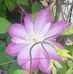 Wanda Skelton - Facebook