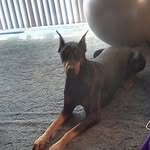 Wanda Slagle - @nursewanda007 - Instagram