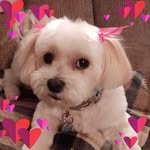 Wanda Small - @max.small60 - Instagram