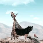 Wanda Small - Facebook