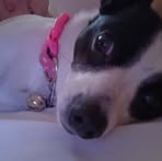 Wanda Smiley - Facebook