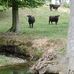 Wanda Smithson - Facebook