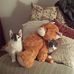 Wanda Snowden - Facebook