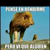wandasolano - @wandasolano1212 - TikTok