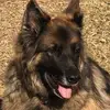 Wanda Southerden - @wanda.southerden - TikTok