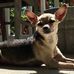 Wanda Sparkman Smith - Facebook
