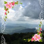 Wanda Payne Sparks - @wanda_sparks - Instagram