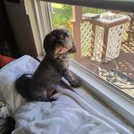 Wanda Sparks - @wanda.sparks.10236 - Instagram