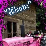Wanda Spence - @wandaspence392 - Instagram