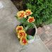 Wanda Spicer - Facebook