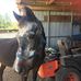 Wanda Spiteri - Facebook