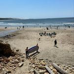 Wanda Spoor - @spoorwanda - Instagram