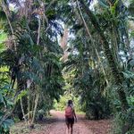 Wanda Springer - @wandaspringer487 - Instagram