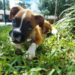 Wanda Stagner - @wandastag - Instagram