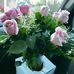 Wanda Sterner - Facebook
