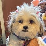 Wanda Stallings - @therealpeanut21 - Instagram