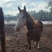Wanda Starnes - Facebook
