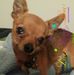 Wanda StClair Sheats - Facebook