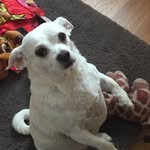 Wanda Steadman - @bawa_wanda - Instagram