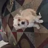 Wanda Stephenson - @wanda.stephenson - TikTok