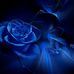 Wanda Starrett - Facebook