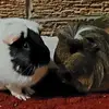 Wanda Stockdale - @wanda.stockdale - TikTok