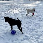 Wanda Stockman - @wandastockman - Instagram