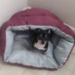 Wanda Stogner - @wanda.stogner.9 - Instagram