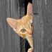Wanda Stratton - Facebook