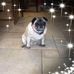 Wanda Stull Edwards - Facebook