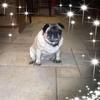 wandastulledwards - @wandastulledwards - TikTok