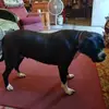 Wanda Suggs - @wanda.suggs - TikTok