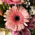 Wanda Talley - @wwtalley - Instagram