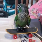 Wanda Thorne - @wanda13413 - Instagram