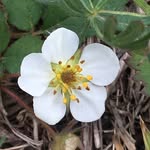 Wanda Tipton Mendicino - @wmendicino - Instagram