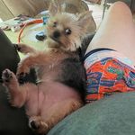 Wanda Townsend - @wandatownsend10 - Instagram