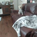 Wanda Townsend - @wandatownsend708 - Instagram